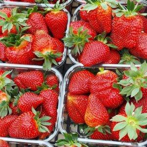 Fragole