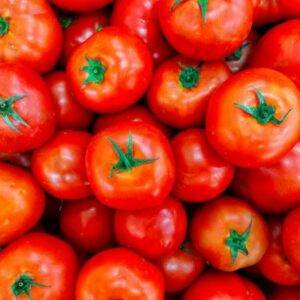 Pomodori Tondi