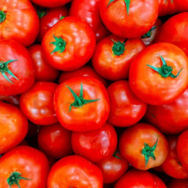 Pomodori Tondi