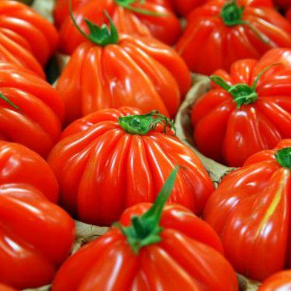 Pomodori Cuore