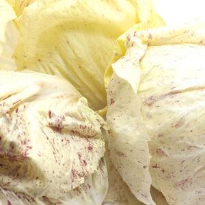 Radicchio Lusia