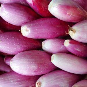 Cipolle Fiorentine
