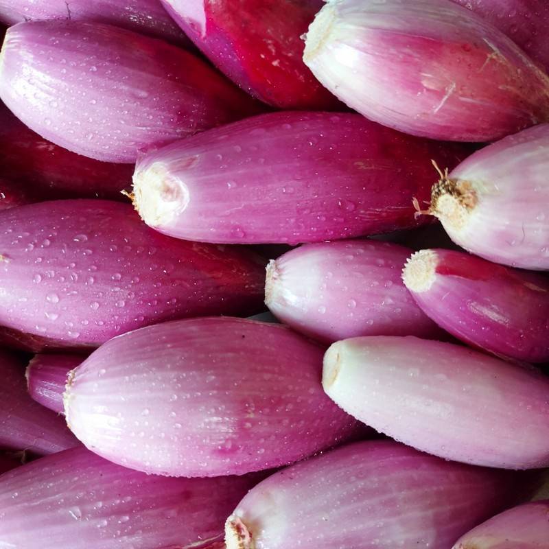 Cipolle Fiorentine