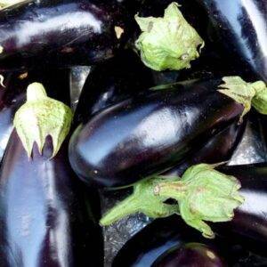Melanzane Tonde