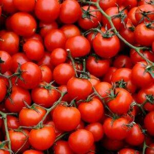 Pomodori Ciliegini
